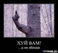 x_fcd27301.jpg