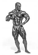 1302832637_shawn-ray.jpg