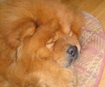 Picture_289.jpg