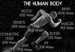 Human body.jpg