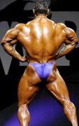 Levrone_BackLat.JPG