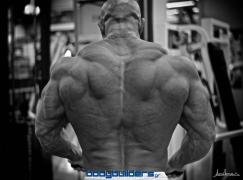 kefalianos-10-days-out-2013-arnold_5.jpg