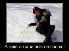 getImageрол.jpg