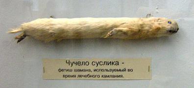 post-2-1296637055.jpg