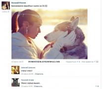 setey-socialnyh-kommentarii-citaty-vkontakte-vkontakte-smeshnye-statusy_1831666092.jpg