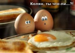 yumora-nemnogo-kartinki-smeshnye-kartinki-fotoprikoly_3653212767.jpg