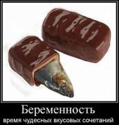 yumora-nemnogo-kartinki-smeshnye-kartinki-fotoprikoly_6999391240.jpg
