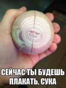 yumora-nemnogo-kartinki-smeshnye-kartinki-fotoprikoly_447052336.jpg