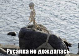 yumora-nemnogo-kartinki-smeshnye-kartinki-fotoprikoly_2722875521.jpg