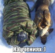 yumora-nemnogo-kartinki-smeshnye-kartinki-fotoprikoly_903917644.jpg