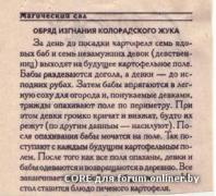 653bc0273f4d7f23082f89655ea3304e.jpg