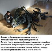0PTWl_Ssf-8.jpg