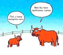 yumora-nemnogo-kartinki-smeshnye-kartinki-fotoprikoly_7710924088.jpg