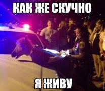 yumora-nemnogo-kartinki-smeshnye-kartinki-fotoprikoly_759396745.jpg