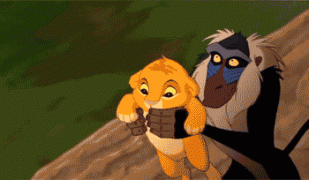 5.gif