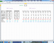 СМТ1 2круг 1мц.png