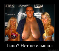 8409001.png