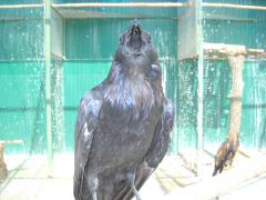 DSCN2766.JPG