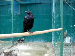 DSCN1510.jpg