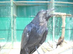 DSCN2767.JPG
