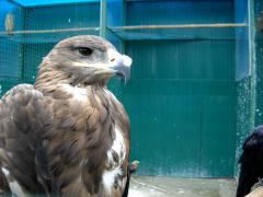 DSCN1514.jpg