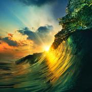 shutterstock_133523498.jpg