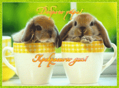 доброе утро.gif