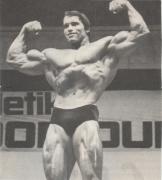 Arnold-72index.jpg