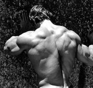 South Africa, thick back.jpg