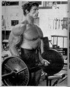 Arnold-showimg.jpg