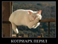 Снимок экрана 2016-02-15 в 17.02.11.png