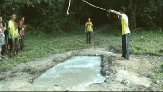 1454359017143470709.gif