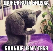 nKhprdzi_04.jpg