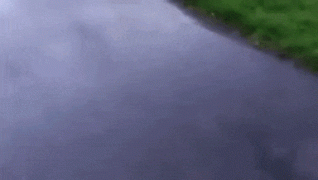 1454977415-c85c7754300dedf75cd427fd2a6af569.gif