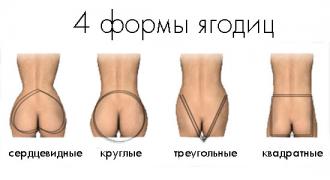 ЖОПОДИЦЫ.jpg
