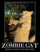 180px-Zombiecat.jpg