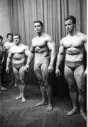 Arnold 9.jpg