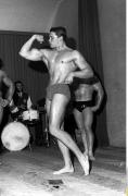Arnold 14.jpg