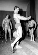Arnold 20.jpg