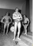 Arnold 16.jpg