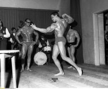 Arnold 15.jpg