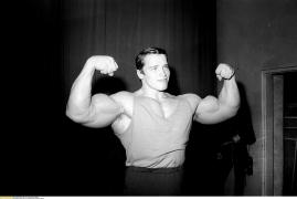 Arnold 7.jpg
