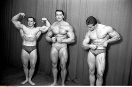 Arnold 2.jpg