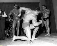Arnold 3.jpg