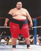 1-yokozuna-wrestler.jpg