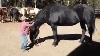 1454276324_gifs_14.gif