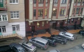 WP_20160205_008.jpg