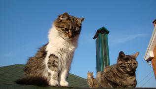 DSC04337.JPG