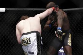 Roy_Nelson_vs_Cheick_Kongo_2.jpg