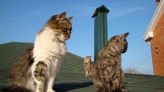 DSC04326.JPG